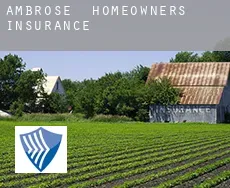 Ambrose  homeowners insurance