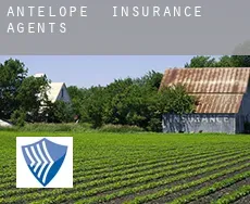 Antelope  insurance agents