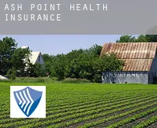 Ash Point  health insurance