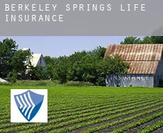 Berkeley Springs life insurance