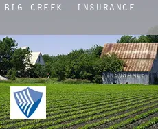 Big Creek  insurance