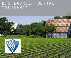 Big Laurel  dental insurance