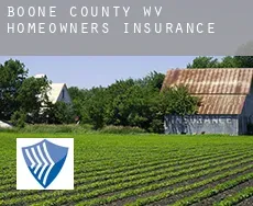 Boone County  homeowners insurance