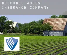 Boscobel Woods  insurance company