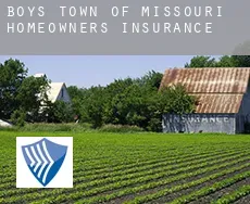 Boys Town of Missouri homeowners insurance