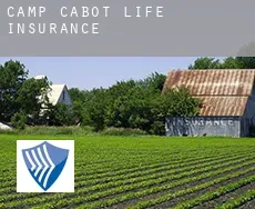 Camp Cabot  life insurance