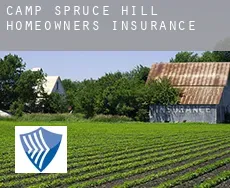 Camp Spruce Hill  homeowners insurance