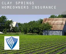 Clay Springs  homeowners insurance