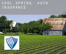 Cool Spring  auto insurance