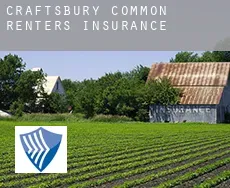 Craftsbury Common  renters insurance