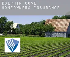 Dolphin Cove  homeowners insurance