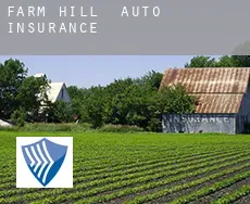 Farm Hill  auto insurance