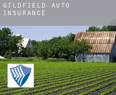 Gildfield  auto insurance