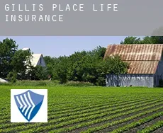 Gillis Place  life insurance