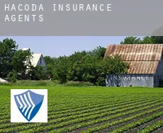 Hacoda  insurance agents