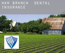 Haw Branch  dental insurance