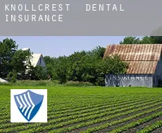 Knollcrest  dental insurance