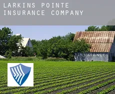 Larkins Pointe  insurance company