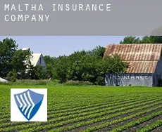 Maltha  insurance company
