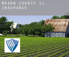 Mason County insurance