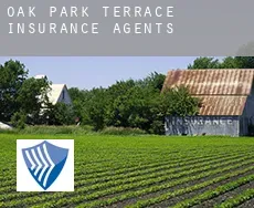 Oak Park Terrace  insurance agents