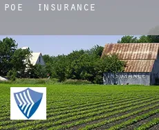 Poe  insurance