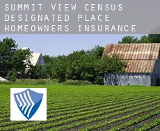 Summit View  homeowners insurance