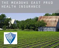 The Meadows East PRUD health insurance