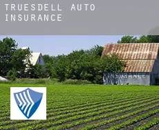 Truesdell auto insurance