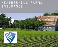 Weatherhill Farms  insurance