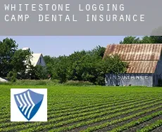 Whitestone Logging Camp  dental insurance