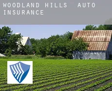 Woodland Hills  auto insurance