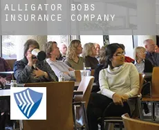 Alligator Bobs  insurance company