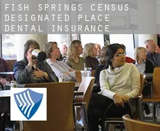 Fish Springs dental insurance