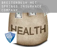 Breitenbush Hot Springs  insurance company