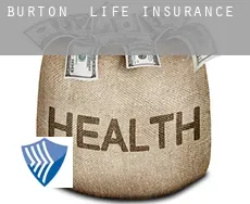 Burton  life insurance