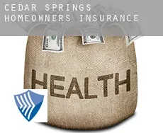 Cedar Springs  homeowners insurance