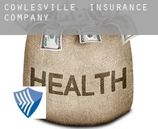 Cowlesville  insurance company
