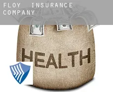 Floy  insurance company