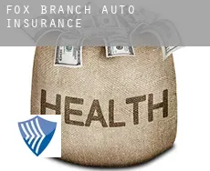 Fox Branch  auto insurance
