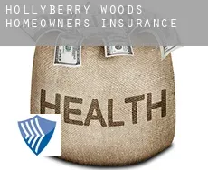 Hollyberry Woods  homeowners insurance