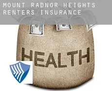 Mount Radnor Heights  renters insurance