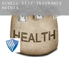 Schell City  insurance agents