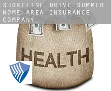 Shoreline Drive Summer Home Area  insurance company