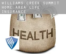 Williams Creek Summit Home Area  life insurance