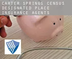 Carter Springs  insurance agents