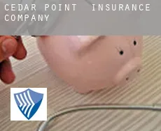 Cedar Point  insurance company