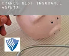 Cranes Nest  insurance agents