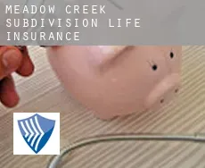 Meadow Creek Subdivision  life insurance