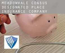 Meadowvale  insurance company